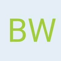 Avatar Birgitt Wolff